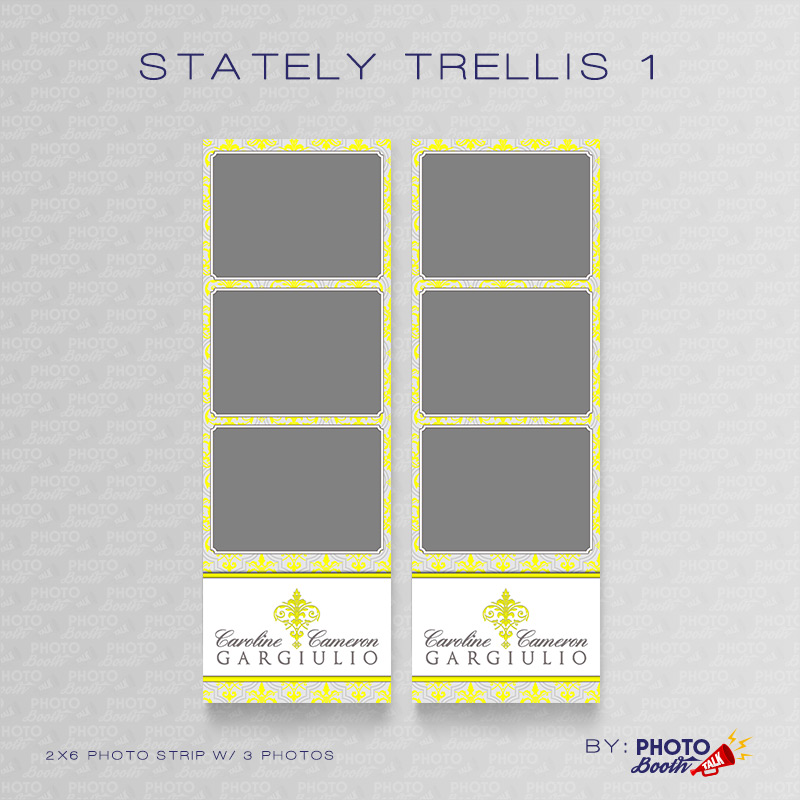 Stately Trellis 1 - Photoshop PSD Files - Image 2