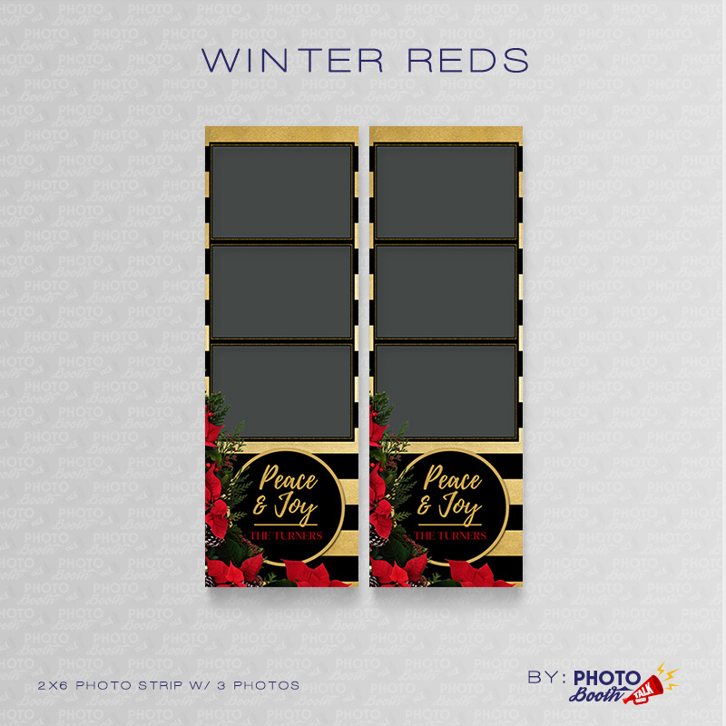 Winter Reds 2 - Photoshop PSD Files - Image 4