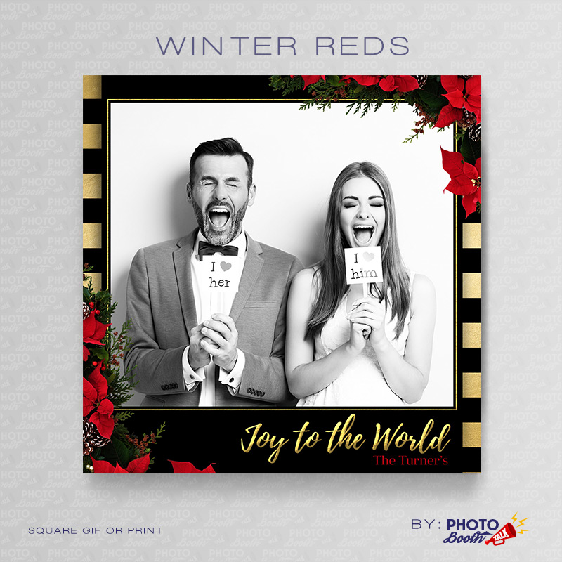 Winter Reds - Square - Photoshop PSD File