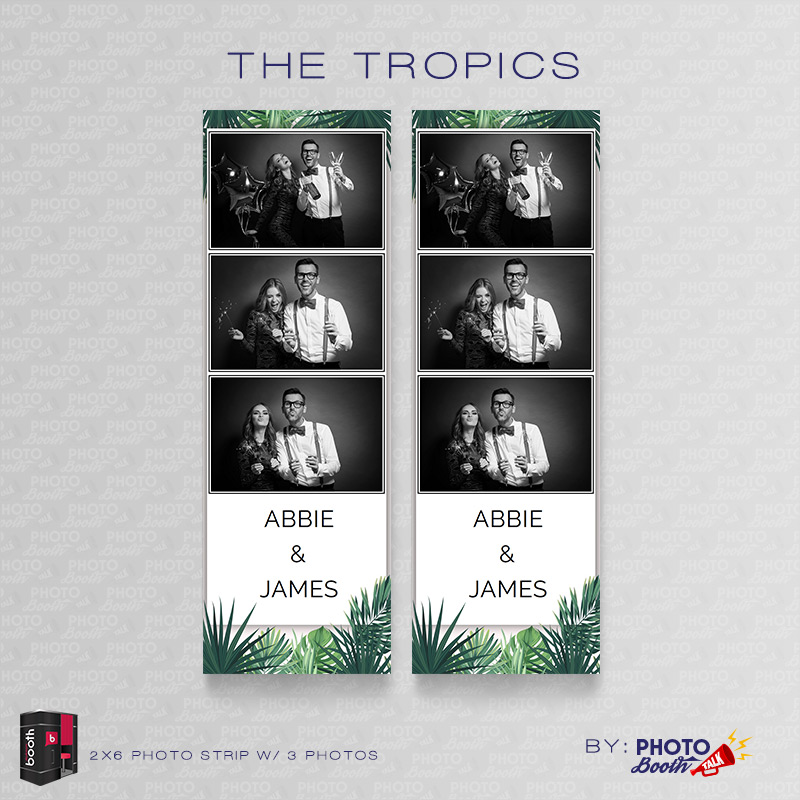 The Tropics 2 - For Darkroom Booth - Image 4