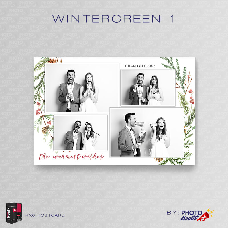 Wintergreen 1 - Photoshop PSD Files - Image 2