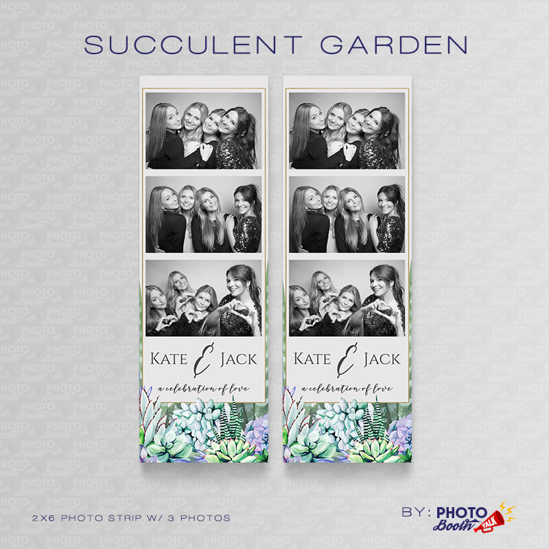 Succulent Garden 2 - Photoshop PSD Files - Image 4