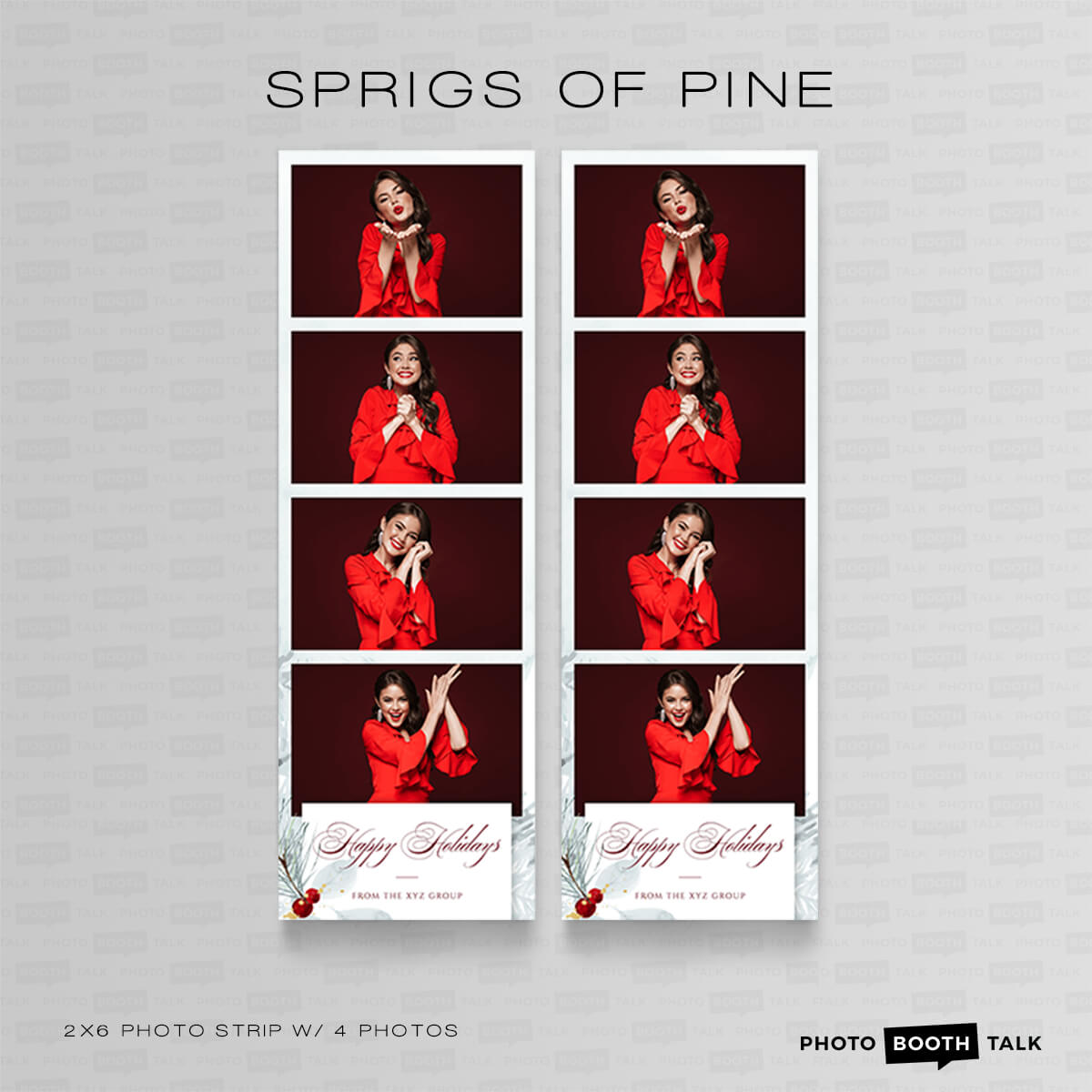 Sprigs of Pine 1 - For Darkroom Booth - Image 5