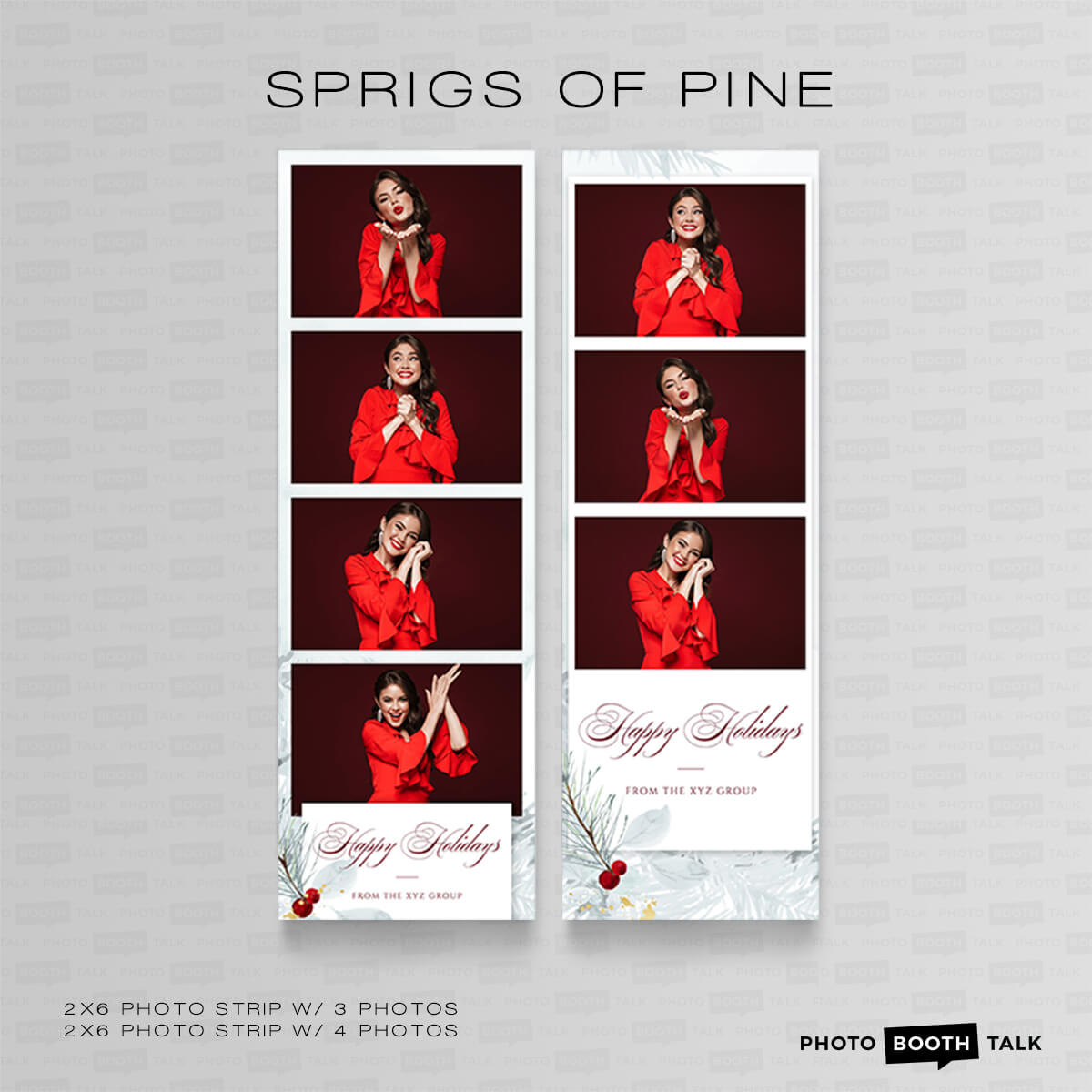 Sprigs of Pine 1 - For Darkroom Booth - Image 3