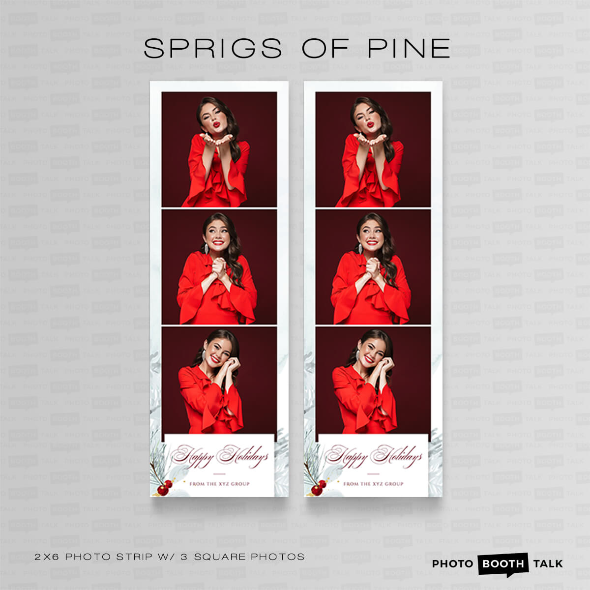 Sprigs of Pine 2 - Square - For Darkroom Booth - Image 4