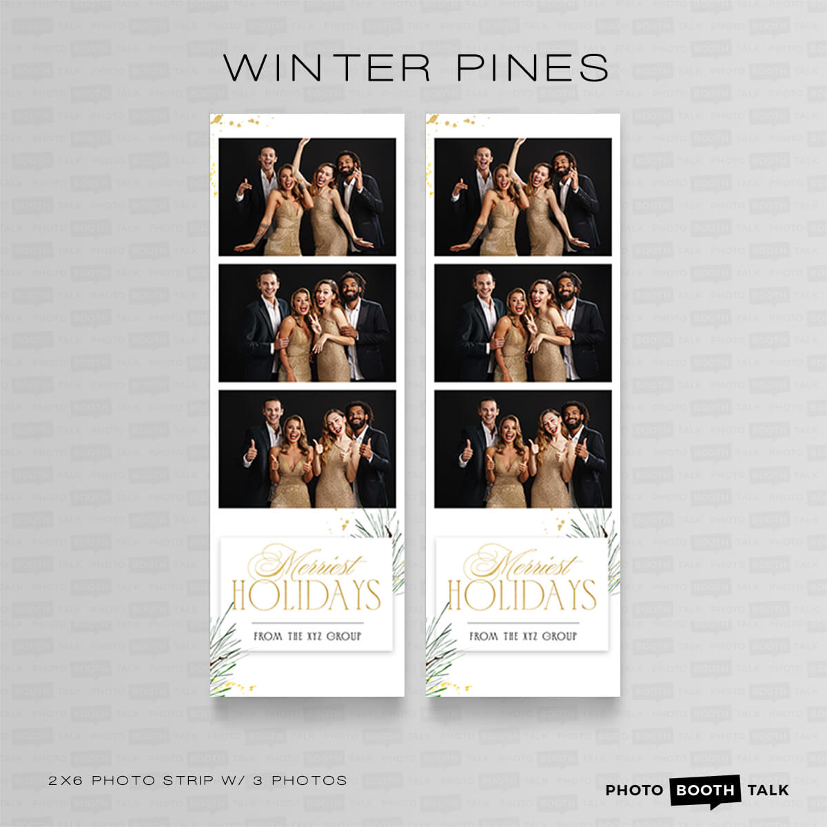 Winter Pines 2 - For Darkroom Booth - Image 4