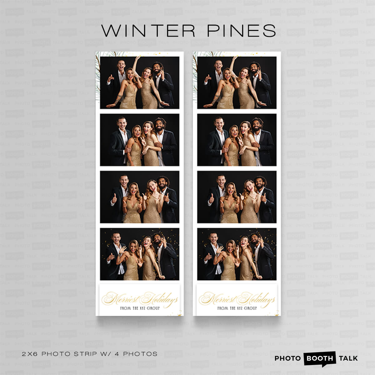 Winter Pines 2 - For Darkroom Booth - Image 5