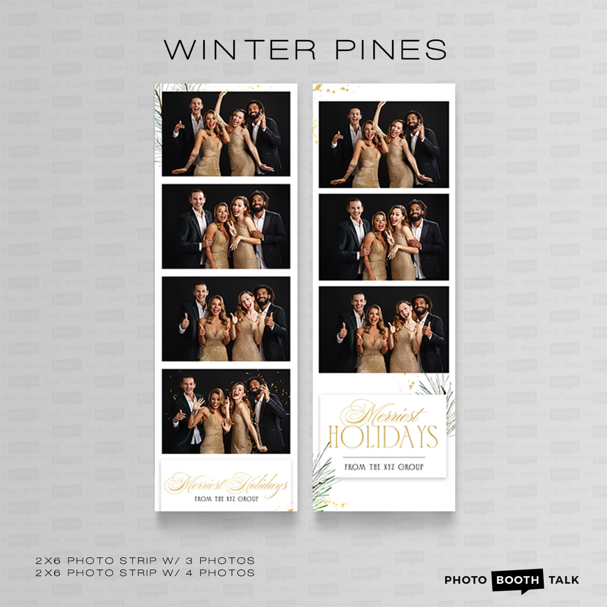 Winter Pines 2 - For Darkroom Booth - Image 3