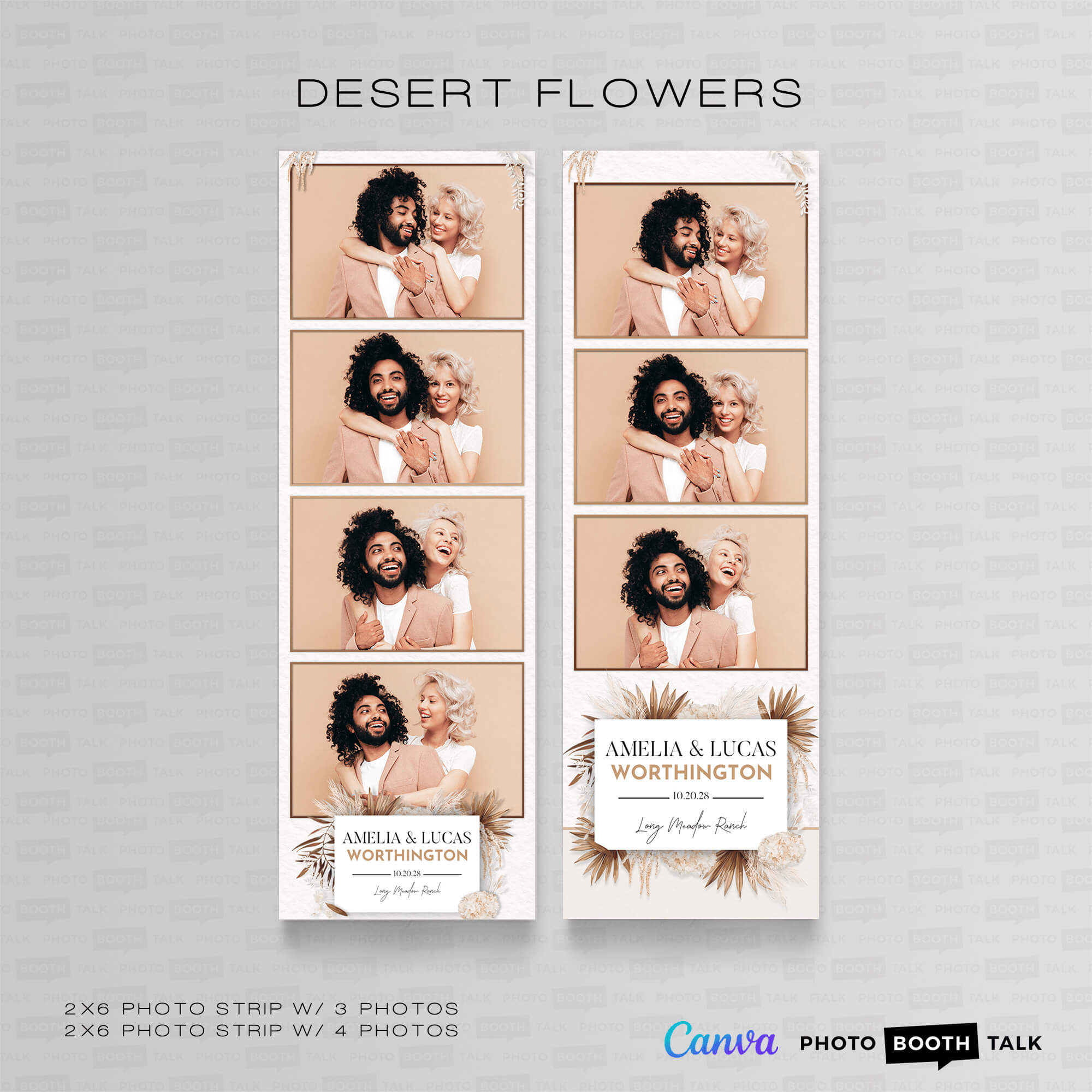 Desert Flowers 2 - For Canva - Image 3