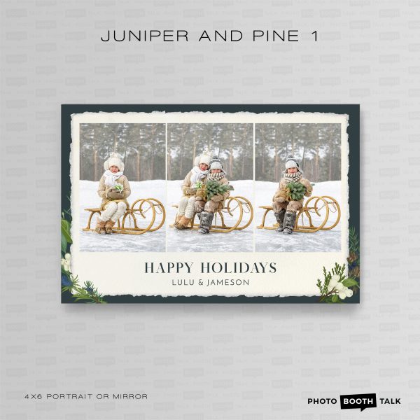 Juniper and Pine 1 - Portrait Mirror  - Photoshop PSD Files